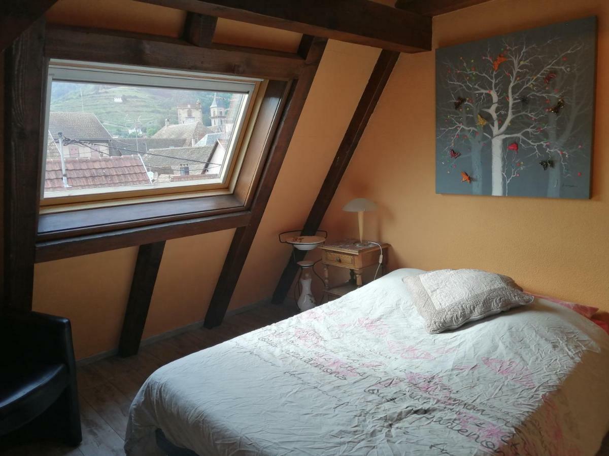 Gite Les Papillons Ribeauvillé Exterior foto