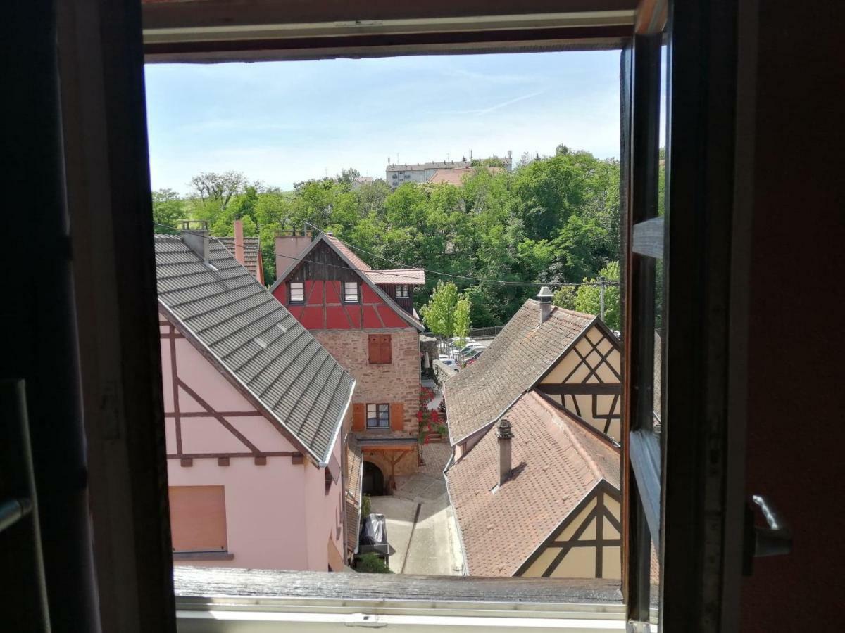 Gite Les Papillons Ribeauvillé Exterior foto
