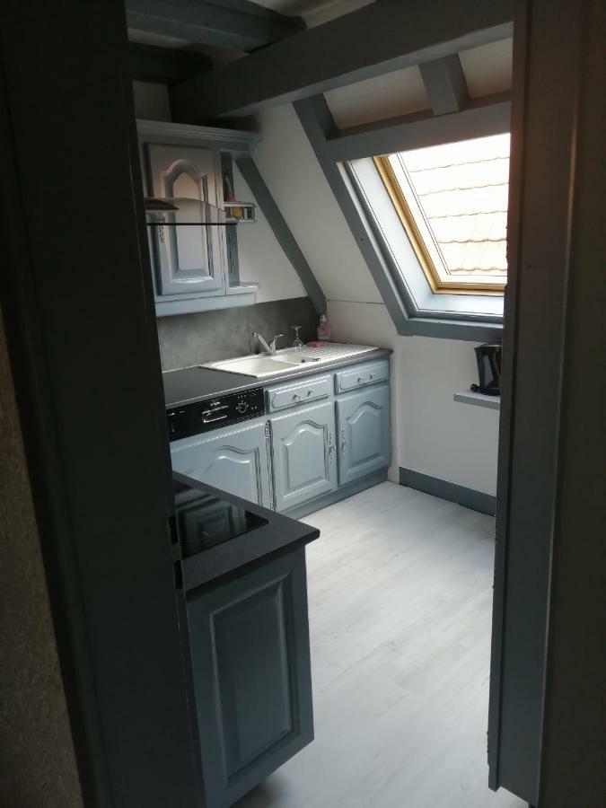 Gite Les Papillons Ribeauvillé Exterior foto